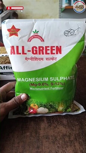 magnesium sulphate fertilizer| #gehu #magnesium #crop @sandeep agri science