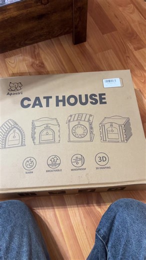 Adorable Cat House for Your Feline Friends