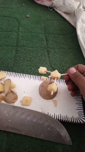 potato experiment