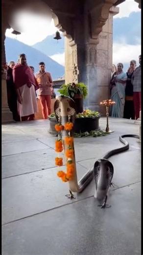 Jai naag dev 🐍😱 #shorts