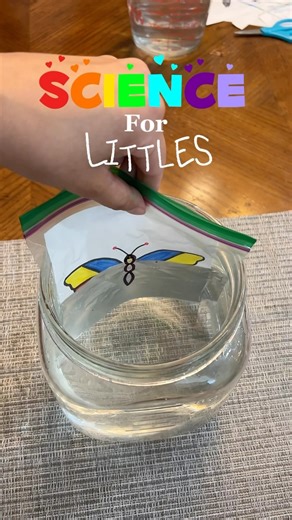 108K views · 8.8K reactions | Water Refraction Experiment 曆 A simple...