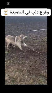 11K views · 26 reactions | @وقوع دئب في المصيدة ⏳ # # # # Victor Aspect Juliet Personal Vlog Yoona Shiinn | GOLAM | Facebook