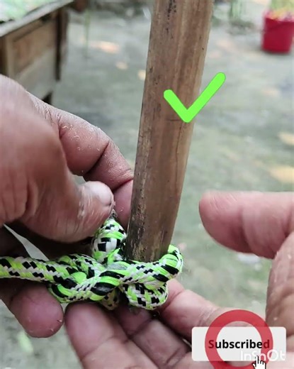 Strong rope knot tying on bamboo for a secure and traditional binding👍👍👍#BambooBinding#skills👍👍👍