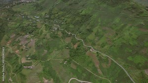 A drone shot slowly descending to a vast rice field with greenery with small houses, and a road, with fields varying in green and brown.