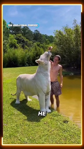 He Raised These Wild Animals Like Family… 🐯😳
