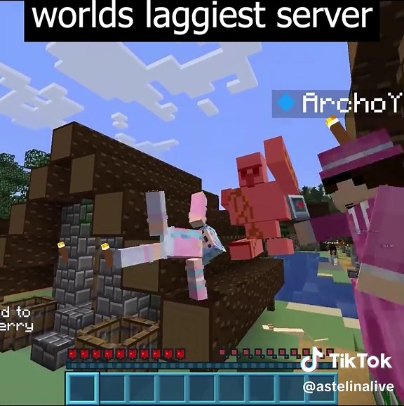 worlds laggiest server lmao #minecraft