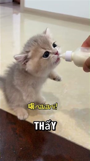 JUMP ROPE, AND THAT'S HOW MUCH IT TAKES!