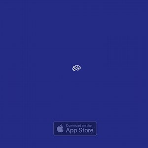 Drink less with the help of Reframe. Alcohol destroys your brain's...