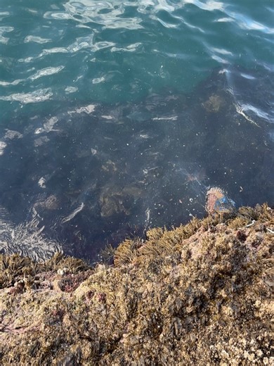 Matt Watson on Reels