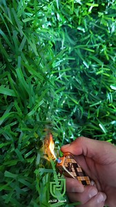 2.9K reactions · 14 shares | #شركة السياج الاخضر ♻️♻️ضمان خمس سنوات...