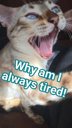 It's the weekend... and you guessed it.