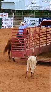 The Best of West Top Hand’s Challenge and Ranch Rodeo were a success! It was a nail biter in the Top Hand's Challenge Bryce Strack and Piglet came out victorious,getting the job done in 2 minutes and 12 seconds! You can watch the entire Top Hand's Challenge later this week on our YouTube Channel RoughOutTV. #roughoutranchrodeo #tophandschallenge #cowboy #cowhorse #texas | Rough Out