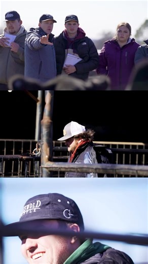 The collegiate judging contest is one of our favorite parts of the Classic. You come from all over the Nation and we can’t wait to see you. Are you coming? . We want the Classic to be a core memory, heck you might meet your Mr or Mrs right here in Stillwater, ya never know 😂 If you haven’t came before know you are invited! . We promise to make it tough, but we promise you’ll see a whole slew of great ones all in one spot. 600 head of ladies, we will sort you off a few. Share if you know a schoo