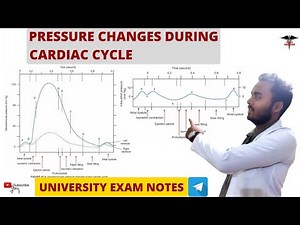 Pressure Changes During the Cardiac Cycle || cardiac cycle || CVS Physiology
