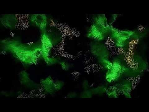Relaxing Sleep Music (10 Hours) | Theta & Delta Waves for Insomnia Relief, Calm Mind & Body