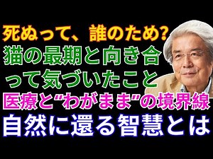 【養老孟司】猫と死、そして自然に還る智慧──病・老い・空気をめぐる静かな対話【エッセイ集②】