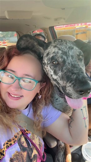 Discovering My Perfect Best Friend: The Great Dane
