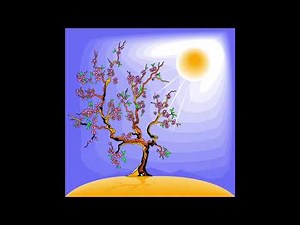 Co je to fotosyntéza?