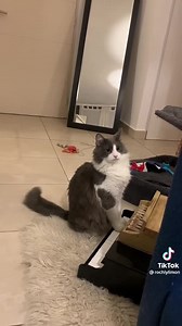 Mi sueño es ir a un concierto de Limón! | Mary Jane Watson