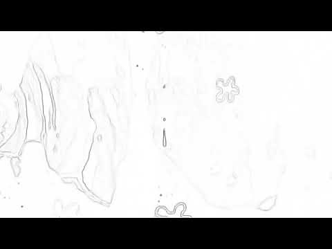 Spongebob squarepants nature pants sketch