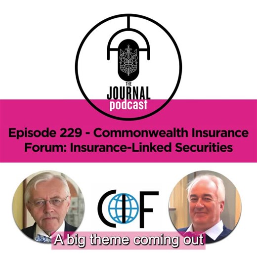 Insurance-linked securities for global risks and cyber threats | Chartered Insurance Institute posted on the topic | LinkedIn