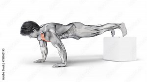 3d render of muscular male character training Chest Bodyweight Push Up and highlighting the effect