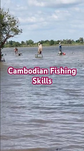 Amazing Cambodian Fishing Skills – Traditional Techniques in Action! #nature #fishing