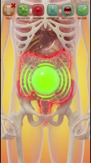 Holding a Fart: The Truth About What Happens Inside Your Body