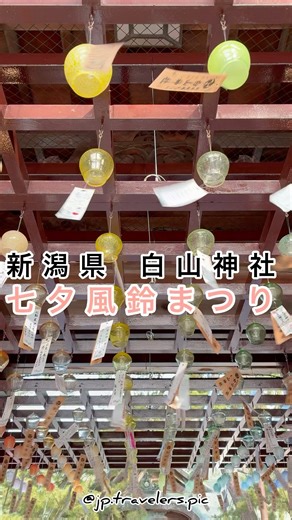 白山神社🎐七夕風鈴まつり🎐 #新潟県#niigata#夏詣#風鈴祭り#風鈴#花手水#七夕風鈴まつり#白山神社 #japan #日本 #shorts
