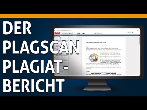 03 Der PlagScan Plagiatbericht im Überblick