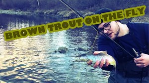 Chasing Small River Brown Trout on a Scenic Fishing Adventure