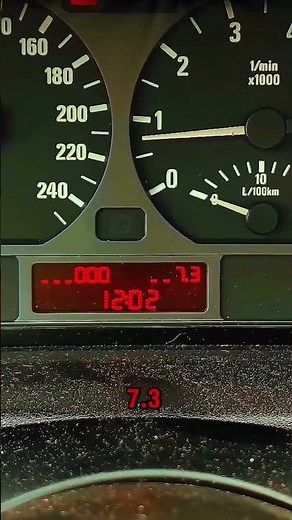 BMW E46: El menú oculto que te muestra la velocidad real