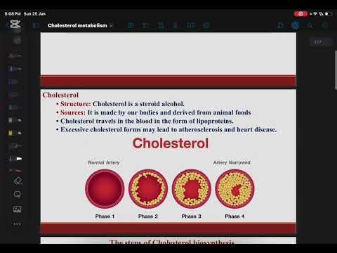 Cholesterol metabolism CVS