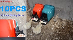 Watch 10PCS Chicken Nesting Box with Perch Roll Out on Amazon Live