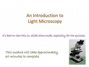 PPT - An Introduction to Light Microscopy PowerPoint Presentation, free download - ID:1944807