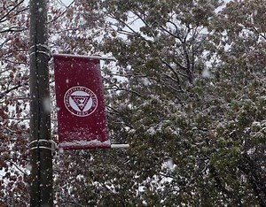 We hope everyone can take a moment today to enjoy the serenity of this school year's first snow on Alden Street. Thank you to #SpringfieldCollege student Colin Wright for these beautiful photos. | Springfield College