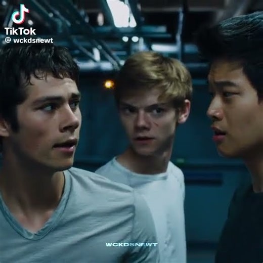 thomas x minho x newt maze runner edits