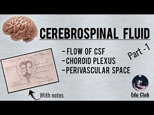Cerebrospinal Fluid - Part 1