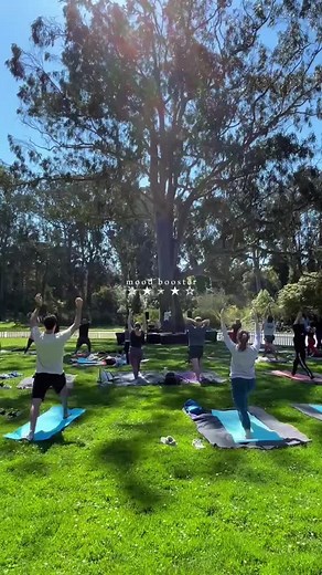 Only two classes left! join us for free yoga classes in Golden Gate Park 📍The Whale’s Tail, 14th Ave East meadow, (near the rose garden) ⏰ 11AM-12PM 🗓️ Saturdays All Summer Long Remaining dates: Sat, Sept 20 Sat, Oct 4 🔗 link in bio to sign up for class (https://www.yogawithelisha.com/yoga-in-the-park) #yoga #sf #sanfrancisco #goldengatepark #bayarea