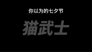 你以为的猫武士七夕节？