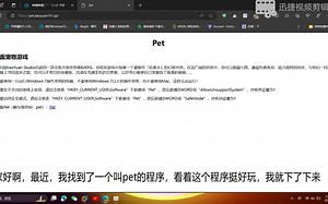 一个能把你的电脑毁掉的桌宠---pet.exe