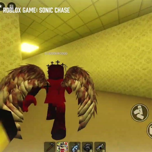 Gotta Go Fast! #sanicchase #sanic #roblox #backrooms #doors #seekchase