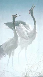 5.2K views · 372 reactions | Beautiful Cranes | Robert Bateman | Facebook