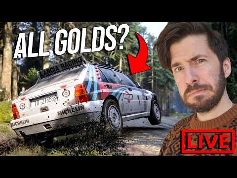 Medal Hunting In Assetto Corsa Rally - Back From The Nurburgring!