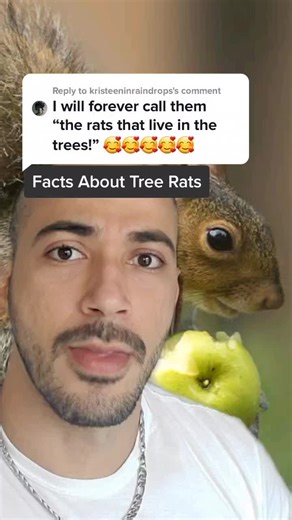 Discover Surprising Facts About Tree Rats