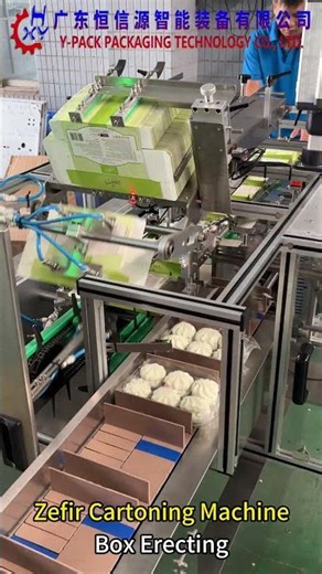 Zefir Cartoning Machine---Box Erecting#packagingmachinery #automaticcartoning