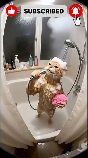 Cat Singing OPERA in the Shower! 🐱🚿🎵 Full Concert!