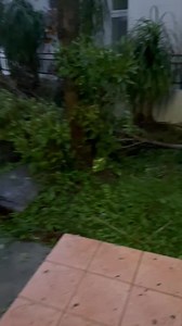 8K views · 147 reactions | Inspecting some of the damage in Okinawa from Typhoon Khanun today. 台風6. Via Jess Hawk | Robert Speta | Facebook