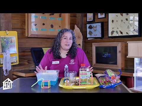 Geometric Bubbles - Educator Moment