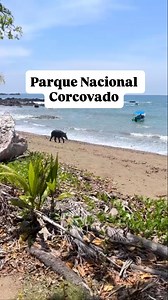 Corcovado Day Tour from Uvita $150.00 Set off on an unforgettable adventure to the core of Corcovado National Park. Starting from Uvita, our excursion offers a thrilling boat journey to San Pedrillo Station, followed by a picturesque hike along the El Pargo Trail. After savoring a delightful picnic lunch against the backdrop of breathtaking scenery, we might also trek an additional trail like La Catarata, if the weather allows. Delving into the depths of this unspoiled rainforest, we will come a